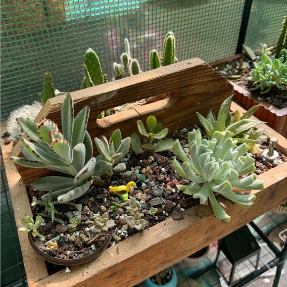 Meet your Posher, Renea! - Picture 14 of 15